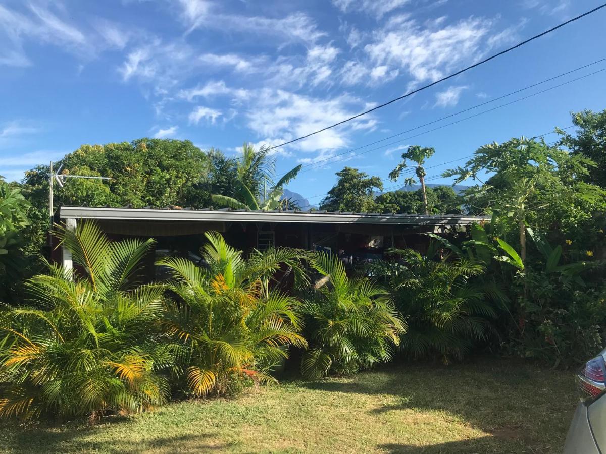Un Bungalow Au Paradis Saint Pierre Eksteriør billede